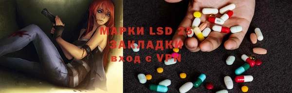 ПСИЛОЦИБИНОВЫЕ ГРИБЫ Алексин