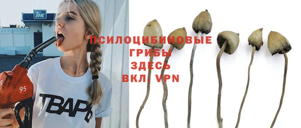 ПСИЛОЦИБИНОВЫЕ ГРИБЫ Алексин