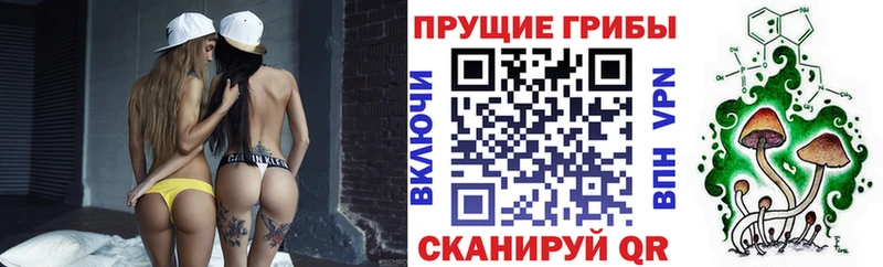 Псилоцибиновые грибы Psilocybe  как найти наркотики  Ликино-Дулёво 